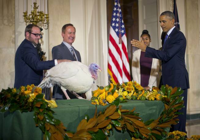 Obama Turkey Pardon