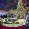 A model train travels around a giant snow globe in the Bellagio Conservatory & Botanical Gardens on Thursday, Dec. 4, 2014, at Bellagio.