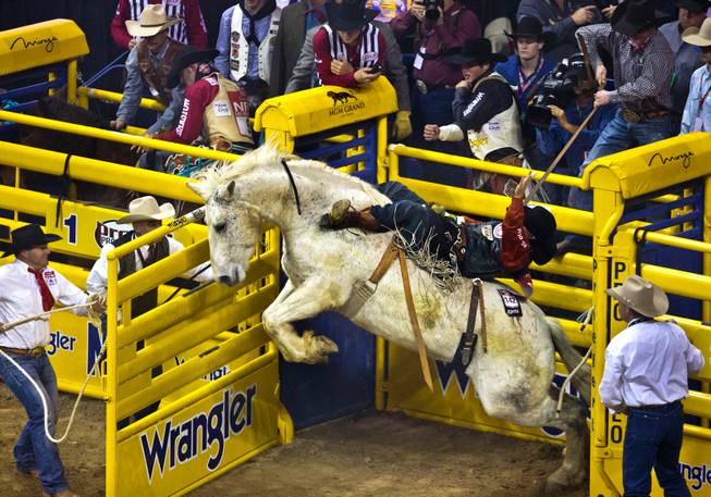 Bareback rider Austin Foss from Terrebonne, Ore., catches some air even before leaving the chute during the 56th Wrangler  National Finals Rodeo at the Thomas & Mack Center on Tuesday, December 9, 2014. L.E. Baskow.