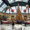 The Christmas tree in the Bellagio's holiday display is a 42-foot silver fir that was trucked in on a flatbed trailer from California. It weighs 6,800 pounds and is decorated with 7,000 lights and 2,500 ornaments.