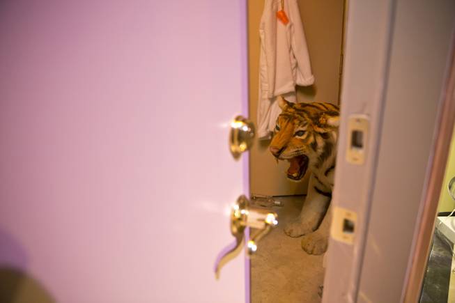 A tiger lurks in the bathroom of the re-created Caesars Palace suite at Madame Tussauds' Hangover Experience, Thursday Jan 1, 2015. Las Vegas wax museum unveiled their newest wax figure Alan, played by Zach Galifianakis, and also includes Phil, played by Bradley Cooper.