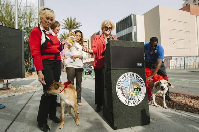 Mayor Carolyn Goodman attends the ceremonial fire hydrant dedication for Keno, a Nevada SPCA foster puppy selected to take part in Puppy Bowl XI, which airs on Super Bowl Sunday, on Wednesday, Jan. 28, 2015.