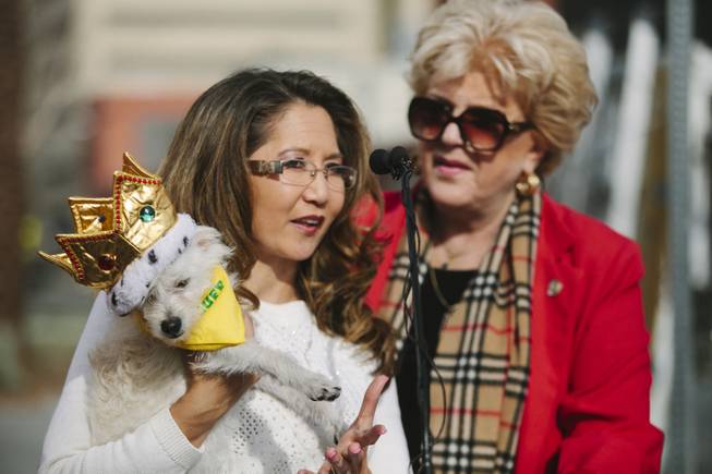 Mayor Carolyn Goodman, right, and Kathy Jung, President of Nevada SPCA attend the ceremonial fire hydrant dedication for Keno, a Nevada SPCA foster puppy selected to take part in Puppy Bowl XI, which airs on Super Bowl Sunday, on Wednesday, Jan. 28, 2015.