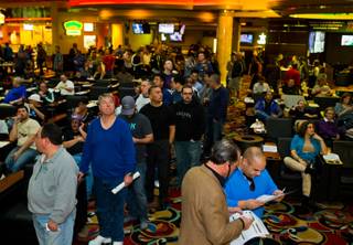 Lines continue to grow for Superbowl sports betting at the Westgate Las Vegas Resort & Casino on Saturday, January 31, 2015.