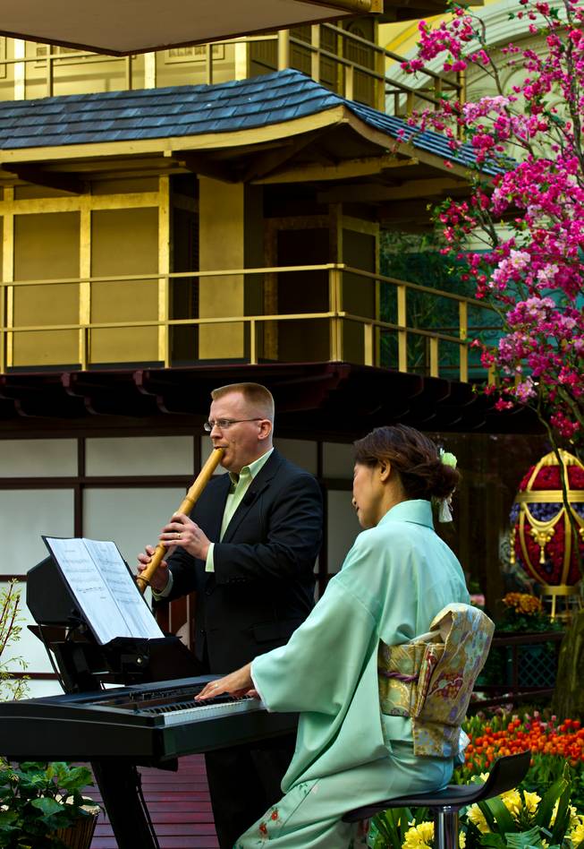 Music entertains visitors about a golden palace as the Bellagio introduces a new Japanese-inspired spring conservatory display replacing the Chinese New Year on Wednesday, March, 18, 2015.