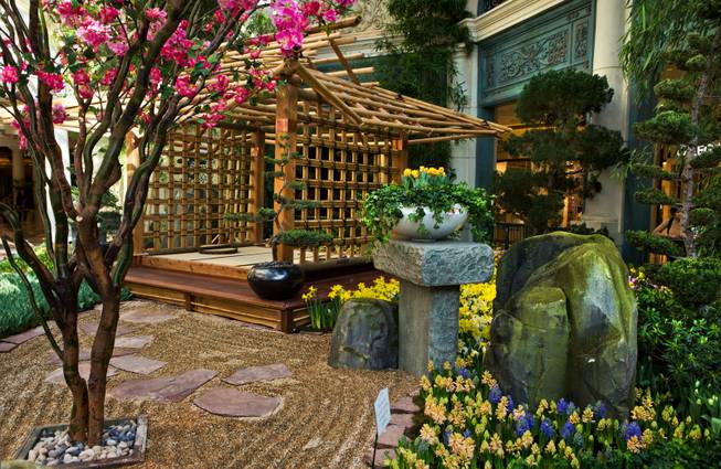 A tea house and rock garden greet visitors as the Bellagio introduces a new Japanese-inspired spring conservatory display replacing the Chinese New Year on Wednesday, March, 18, 2015.