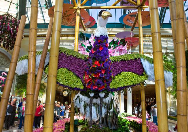 A flowered crane stretches its wings as the Bellagio introduces a new Japanese-inspired spring conservatory display replacing the Chinese New Year on Wednesday, March, 18, 2015.