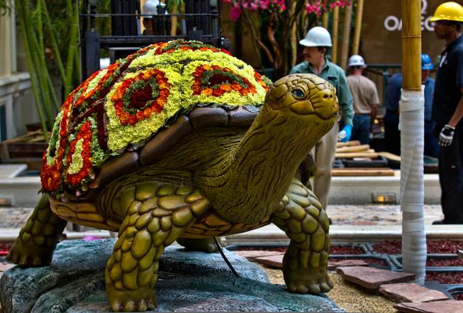 A decorative turtle complete with a fowled shell is one of many distinctive pieces in a new Japanese-inspired spring conservatory display replacing the Chinese New Year on Wednesday, March, 18, 2015.