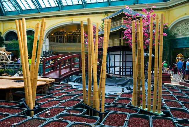 Planter bins are ready to planted as the Bellagio introduces a new Japanese-inspired spring conservatory display replacing the Chinese New Year on Wednesday, March, 18, 2015. .
