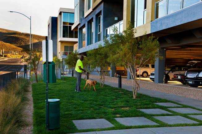 A tenant uses the dog run area at Vantage Lofts, an upscale apartment complex in Henderson that was mothballed during the recession and is now almost fully leased on Wednesday, March, 25, 2015.