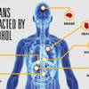 Photo: Organs Impacted by Alcohol (HCA native)