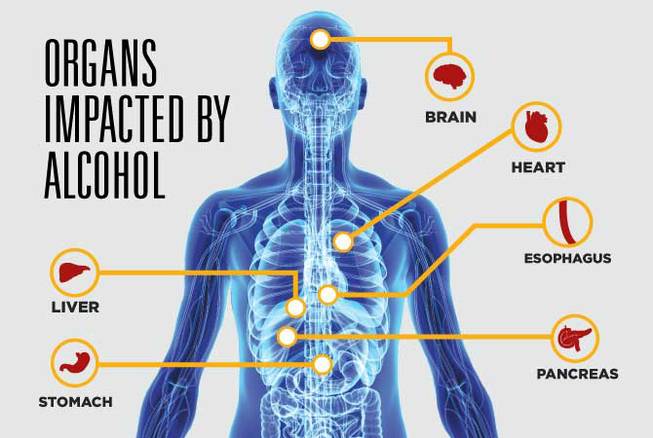 Organs Impacted by Alcohol (HCA native)