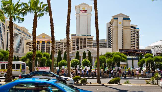 Taxi cab drivers gather on the Strip in front of Caesars Palace to protest Uber, the competing ride sharing program trying to break into the Las Vegas market on Friday, May 29, 2015.