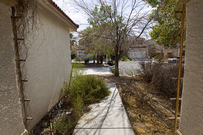 A view is shown from the front door of a foreclosed home in a neighborhood near Tenaya Way and Russell Road Thursday, June 25, 2015.