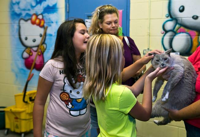 (From front) Hannah, 9, Kalifornia, 10, and Dia Hopper spend a little time looking at the cats still available for adoption on the final day as the Tails End Shelter in Pahrump is closing due to a lack of county funding on Tuesday, June 30, 2015.