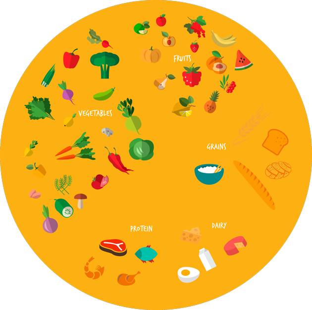 food groups diagram