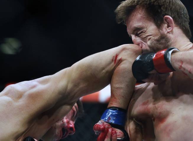 Thomas Almeida connects with an elbow to the nose of Brad Pickett during their UFC189 fight at the MGM Grand Garden Arena on Saturday, July 11, 2015.