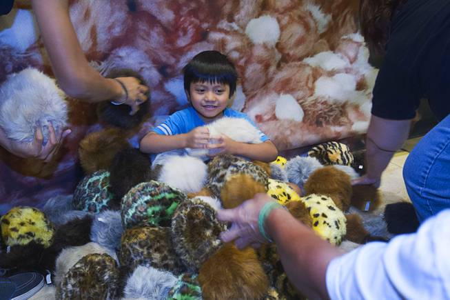 Justin Sotto, 5, of Sacramento, Calif. is covered in tribbles during Creation Entertainment's 14th Annual Las Vegas Official Star Trek Convention at the Rio Sunday, Aug. 8, 2015. Tribbles, small furry creatures, are a fictional alien species that debuted in the original "Star Trek" series.