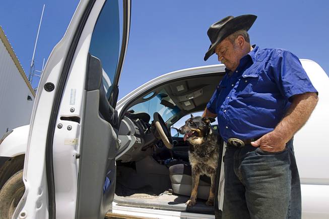 Bob "Cowboy" Cahala pets his dog Belle, an-11-year-old Queensland Heeler, outside Mohave Vally Fire Station 81 in Mohave Valley, Ariz. Monday, Aug. 10, 2015. Cahala and Belle are staying with a friend until they can get back to their home, Cahala said.