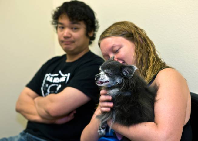 Joe and Heather Turk are pleased to see their dog Orca after a visit to the oncology ward within the Las Vegas Specialty Veterinary Center on Thursday, August 6, 2015.