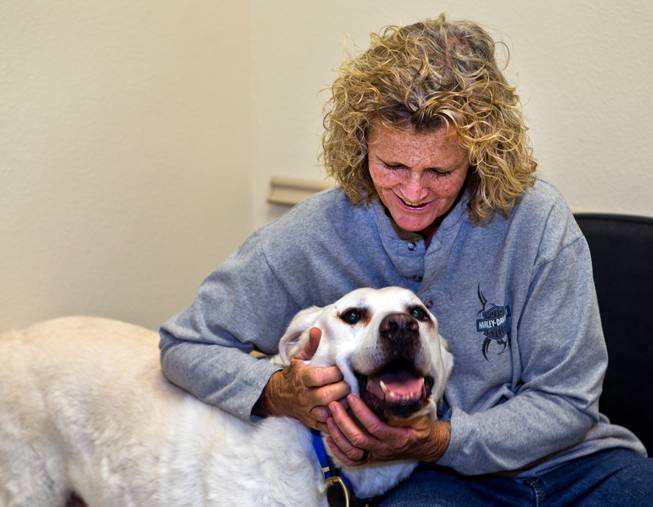 Owner Shannon Skinner with her dog Gunner who has been an oncology patient within the ward at the Las Vegas Specialty Veterinary Center which has seen a long-term increase in the number of pets it's treating for cancer on Thursday, August 6, 2015.