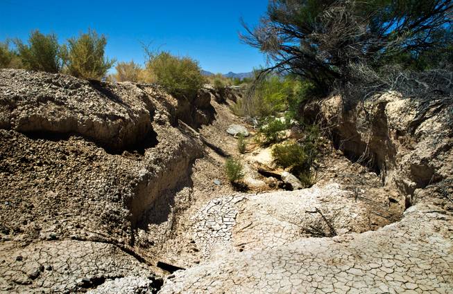 All that remains of a stream that had once run through the Patch of Heaven church camp property in Pahrump owned by pastor Victor Fuentes and wife Annette on Tuesday, July 28, 2015.
