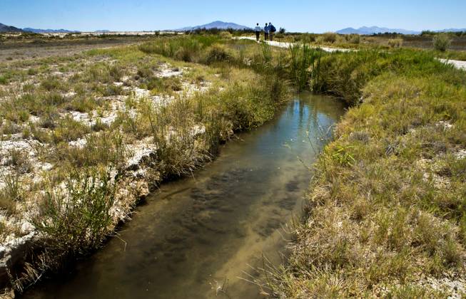 The diverted stream relocated by the U.S. Fish and Wildlife Service away from the Patch of Heaven church camp property in order to save an endangered fish on Tuesday, July 28, 2015.