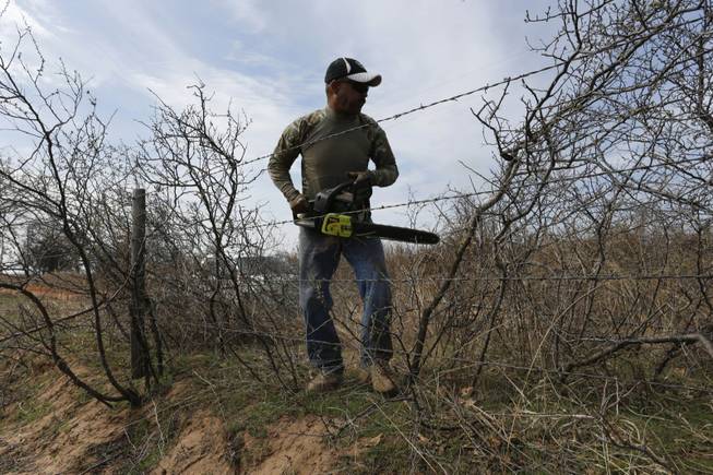Retired U.S. Army Sgt. 1st Class Marshall Powell clears brush from his land outside Crescent, Okla., on March 17, 2015. Powell is recovering from a psychological wound called "moral injury" after serving as an Army nurse in Iraq and Afghanistan. Whenever he can, he heads to his fields. Sometimes he talks to God as he clears the land. "I feel peace, redemption when I talk to him out there," he says. "I know he forgives me."