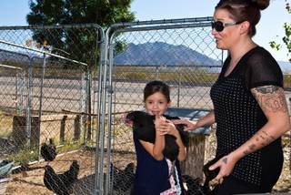 Sandy Valley resident Shana Hairston attended the Sandy Valley school and now her daughter Natasha Oates, 7, is a student at the school. They visit the chicken enclosure that is part of the high school agricultural program on Thursday, Sept. 24, 2015.