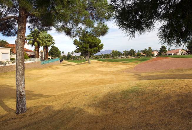 An area (in yellow) by the eighth tee is ready to be converted into desert landscaping at the Palm Valley Golf Course in Summerlin Monday Sept. 28, 2015. The course is irrigated with reclaimed water and is converting some the rough to desert landscaping.