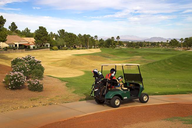 Larry White of Puyallup, Wash. drives his cart from the eighth tee at the Palm Valley Golf Course in Summerlin Monday Sept. 28, 2015. The area of dead grass at left (in yellow) will be converted into desert landscaping to save water.