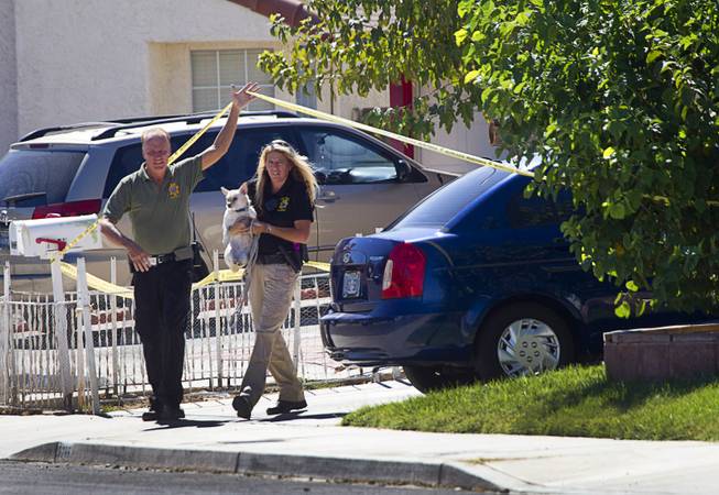 Three Dead in Neighborhood Shooting