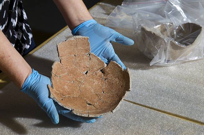 Collections manager Melanie Coffee displays a partially reconstructed pot in the Las Vegas Natural History Museum's Collections and Research Facility Monday, Oct. 12, 2015. The museum was recently declared a federal repository for all archeological and paleontological finds in Southern Nevada.