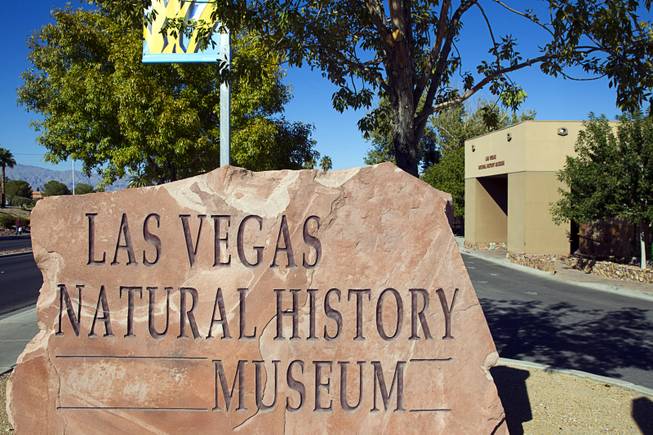 An exterior view of Las Vegas Natural History Museum, 900 Las Vegas Blvd North, Monday, Oct. 12, 2015. The museum was recently declared a federal repository for all archeological and paleontological finds in Southern Nevada.