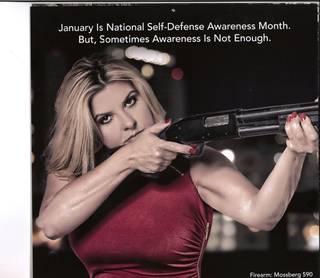 A picture from the January page in Assemblymember Michele Fiore's 2016 calendar.