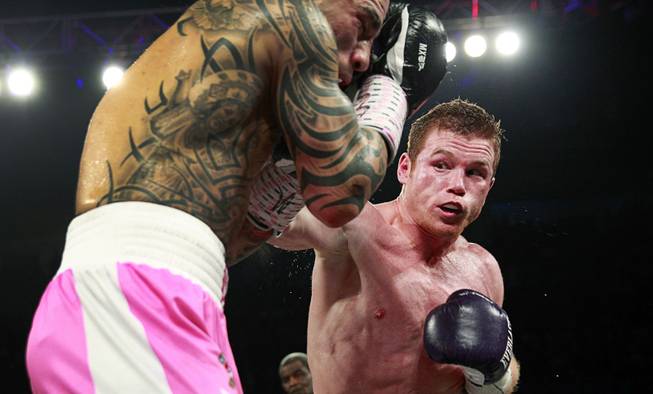 Canelo Alvarez, left, of Mexico punches Miguel Cotto of Puerto Rico during their middleweight fight at the Mandalay Bay Events Center Saturday, Nov. 21, 2015. Alvarez beat Cotto to win the WBC middleweight title.