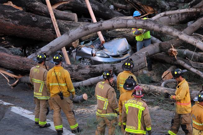 Downed trees kill one in California