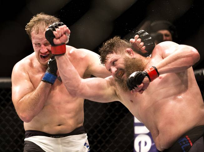 Heavyweight Jared Rosholt and Roy Nelson trade blows during their UFC Fight Night 82 match at the MGM Grand Garden Arena.