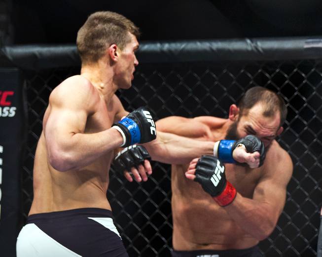 Welterweight Stephen Thompson hits Johny Hendricks with a final punch sending him to the canvas ending their UFC Fight Night 82 match at the MGM Grand Garden Arena on Saturday, February 6 2016.  L.E. Baskow