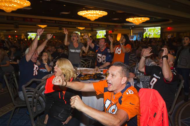Dave Cymbalinty, foreground, of Canada celebrates a Bronco's play as he watches Super Bowl 50 with friends at the Westgate's Pigskin Party Sunday, Feb. 7, 2016.