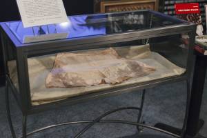 On display at the Erotic Heritage Museum is a undergarment from Eva Braun, Hitler’s mistress.