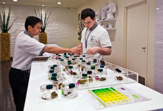 The staff at Essence Cannabis Dispensary prepares for clients on Friday, April 22, 2016.