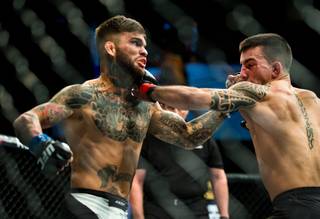 Bantamweight Cody Garbrandt connects with a hard left to send Thomas Almeida down and soon out during their UFC Fight Night match up at the Mandalay Bay Events Center on Sunday, May 29, 2016.