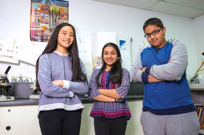 Sydney Lin, left, Isha Shah, center, and Krishna Patel earned praise at the state and national levels for their Future City.