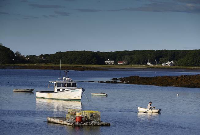A lobster fisherman paddles his skiff after morning his boat, Friday, Sept. 2, 2016, at Cape Porpoise in Kennebunkport, Maine. Some protectors of Maine's image as a vacation destination are playing defense after remarks by Gov. Paul LePage spawned a backlash and postings on social media to boycott the state. 