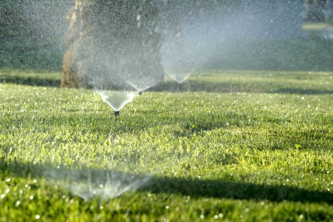 In this file photo, sprinklers irrigate a lawn in Henderson. 