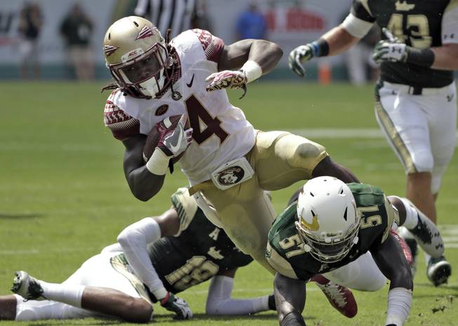 Florida State running back Dalvin Cook (4) is hit by South Florida linebacker Nigel Harris (57) on a run during the first quarter of an NCAA college football game Saturday, Sept. 24, 2016, in Tampa, Fla. 