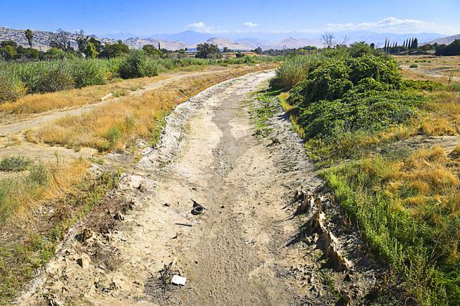 A dry side channel of the Tule River near the town center of Porterville, Calif., Oct. 5, 2016. Numerous trees and orchards have been removed or destroyed during the drought. After regulators lifted the mandatory 25 percent statewide cut following a relatively wet winter, water use is up again, a slide in behavior that has stirred concern among state officials and drawn criticism that California abandoned the restrictions too quickly. 