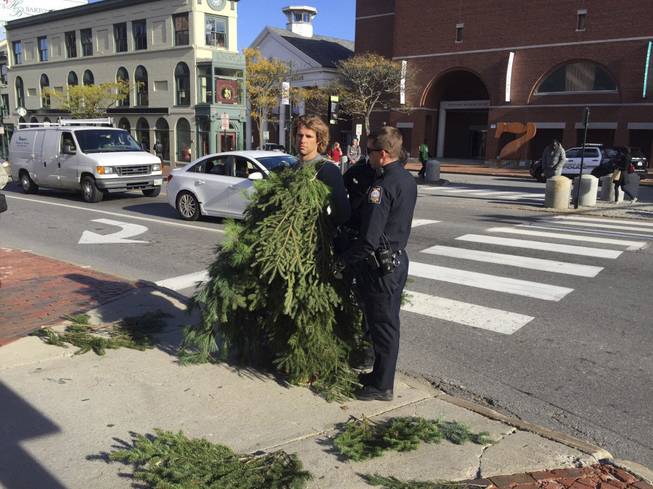 Tree Man Arrested