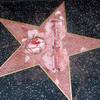 The vandalized star for Republican presidential candidate Donald Trump is seen Wednesday on the Hollywood Walk of Fame.